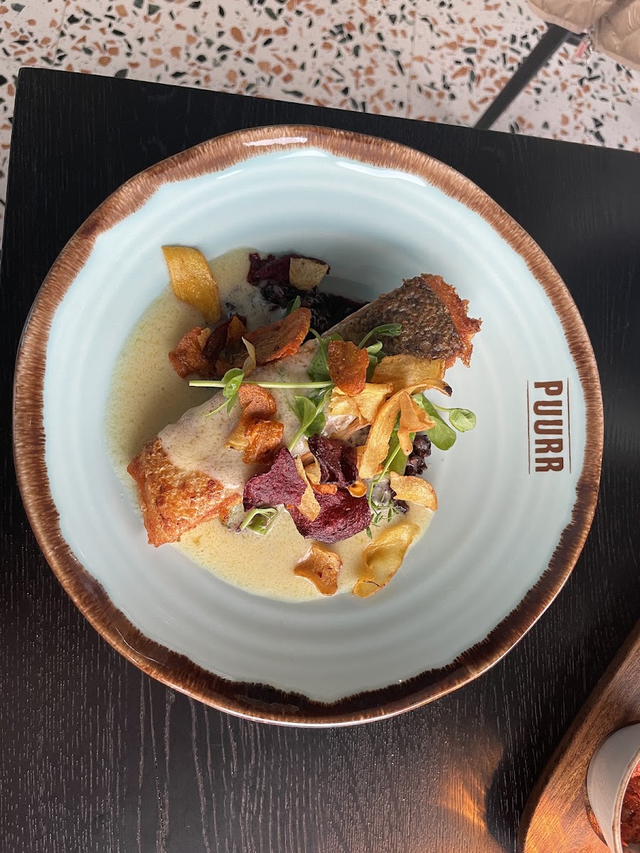 Puurr Aan De Dobbe-10